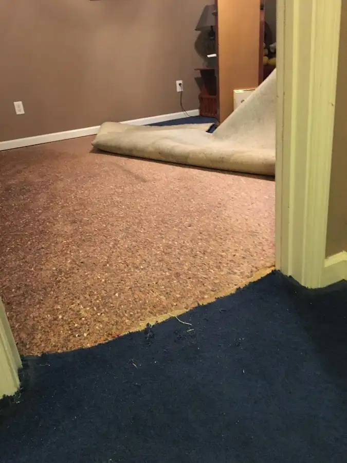 Carpet pad removal revealing water damage during Water Mitigation Services in North Berwick